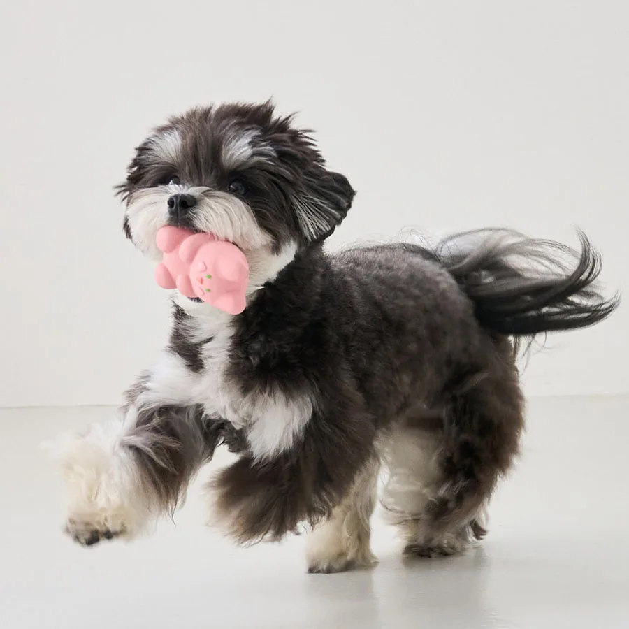 Thumbnail 3 - #33 Dog Fetch Toys List of Top Picks