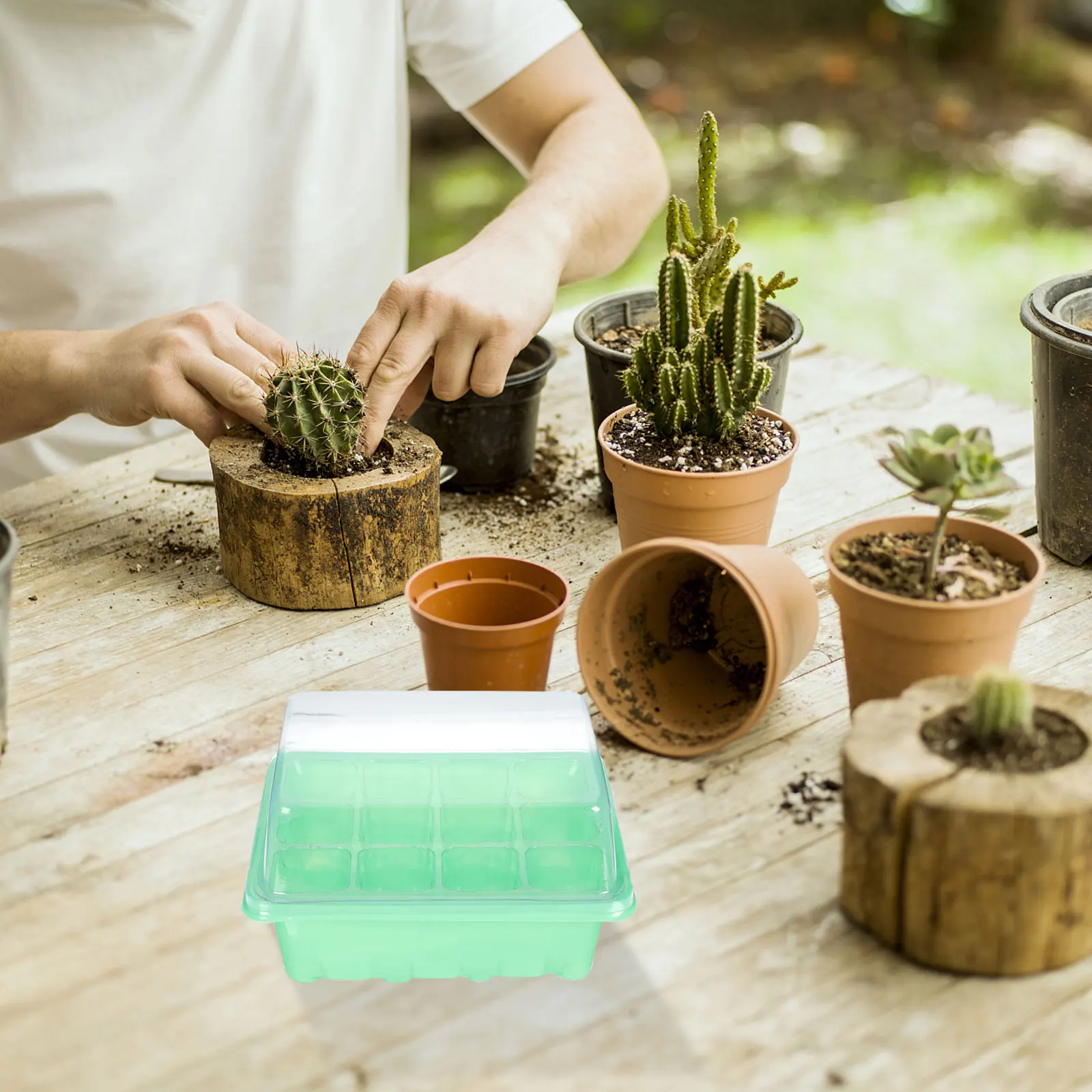 

5 set 5 Sets 12-Cells Plant Nursery Tray PP Pots Drainage Holes Durable Germination Box Sprouting Trays Planter Pot Seedling Box