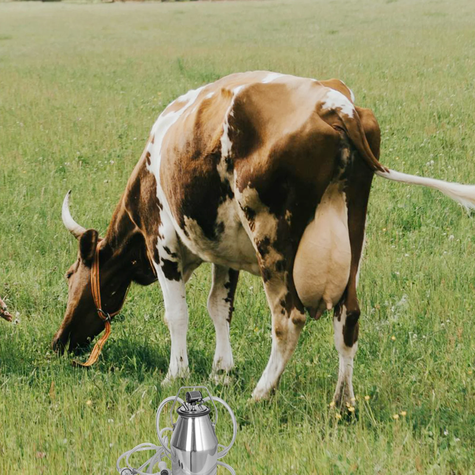 

Milk Bucket Lid Stainless Steel With Rubber Seal For Milking Machine Replacement Reusable Cap Small Milking Bucket