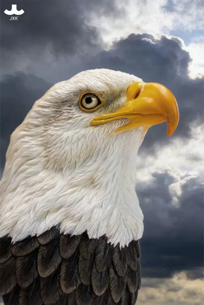 JXK SA003 11×11×14CM Simulated Raptor Eagle Head Statue Resin Animal Model Ornament Toys