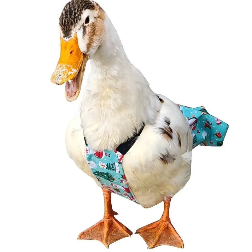 Adjustable Cartoon Pattern Duck Diaper Elastic Band Breathable Chicken Physiological Pants Washable Bow Knot Goose Diaper