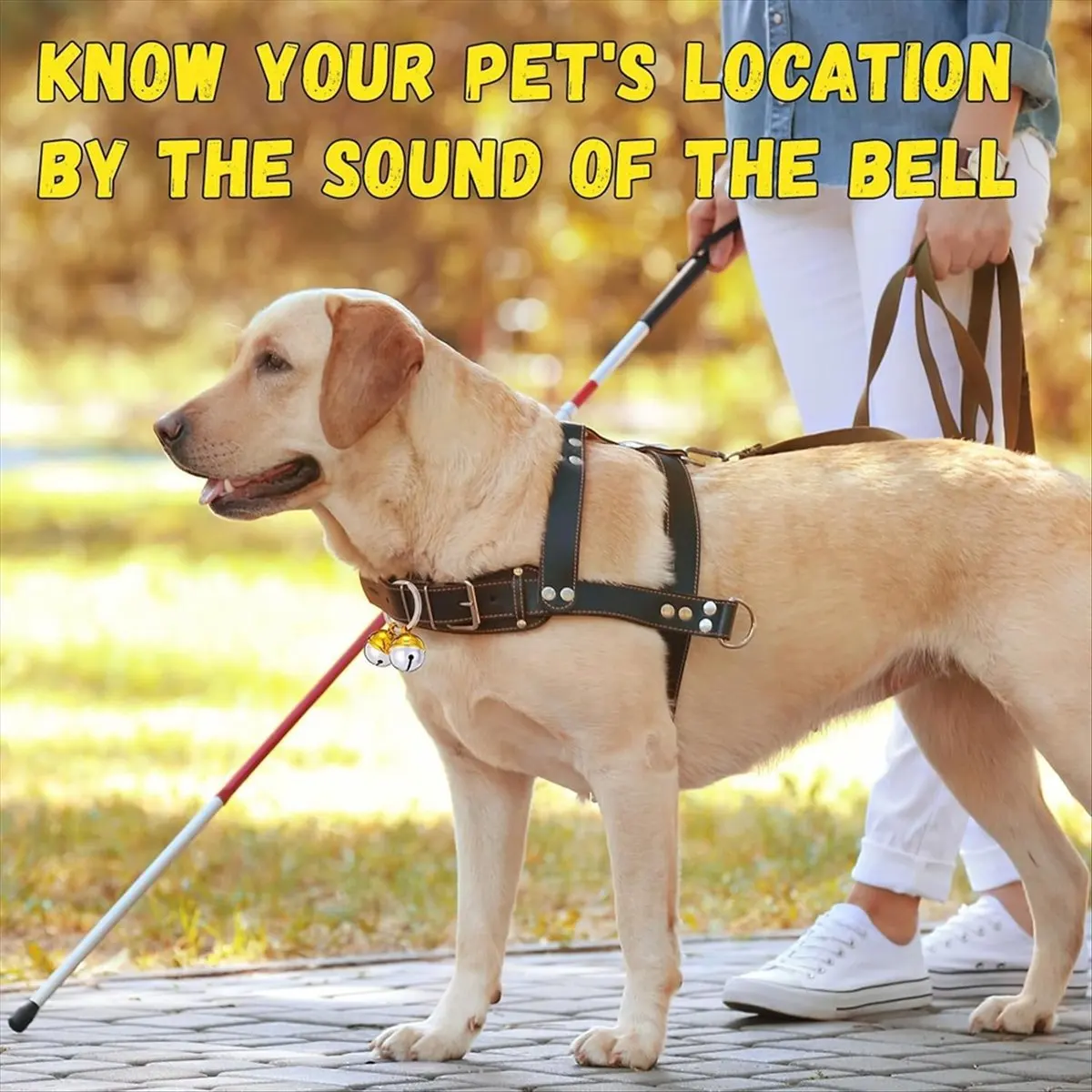 COFA 8 Pack Extra Loud Cat & Dog Bells, Brass Dog Collar Bell Pet Tracker, Protect Wildlife, for Various Deaf or Elderly Pets