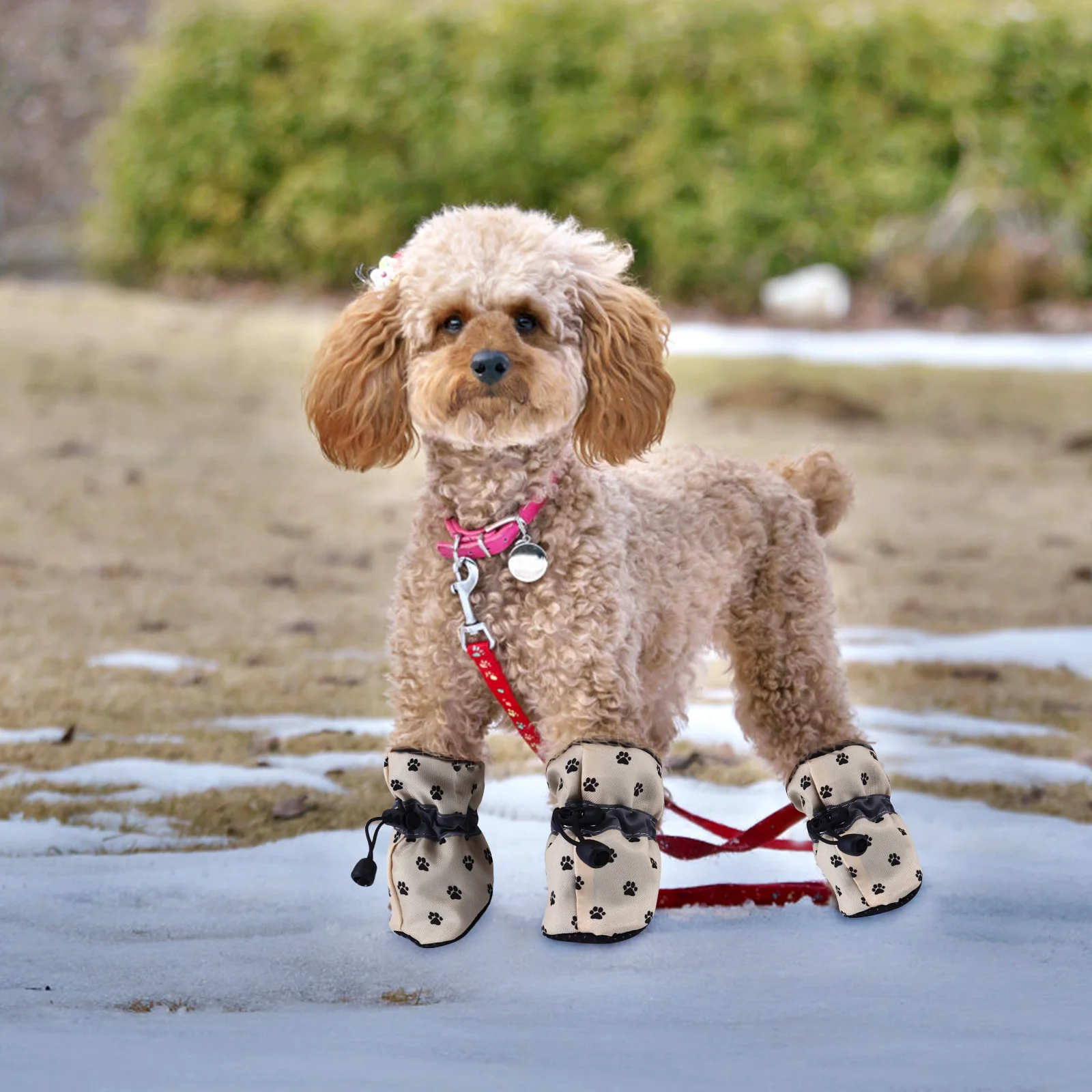 

4Pcs Puppy Booties Dog Shoes High Quality Material Soft Comfortable Fit All Seasons Paw Protector Yellow Dog Boots