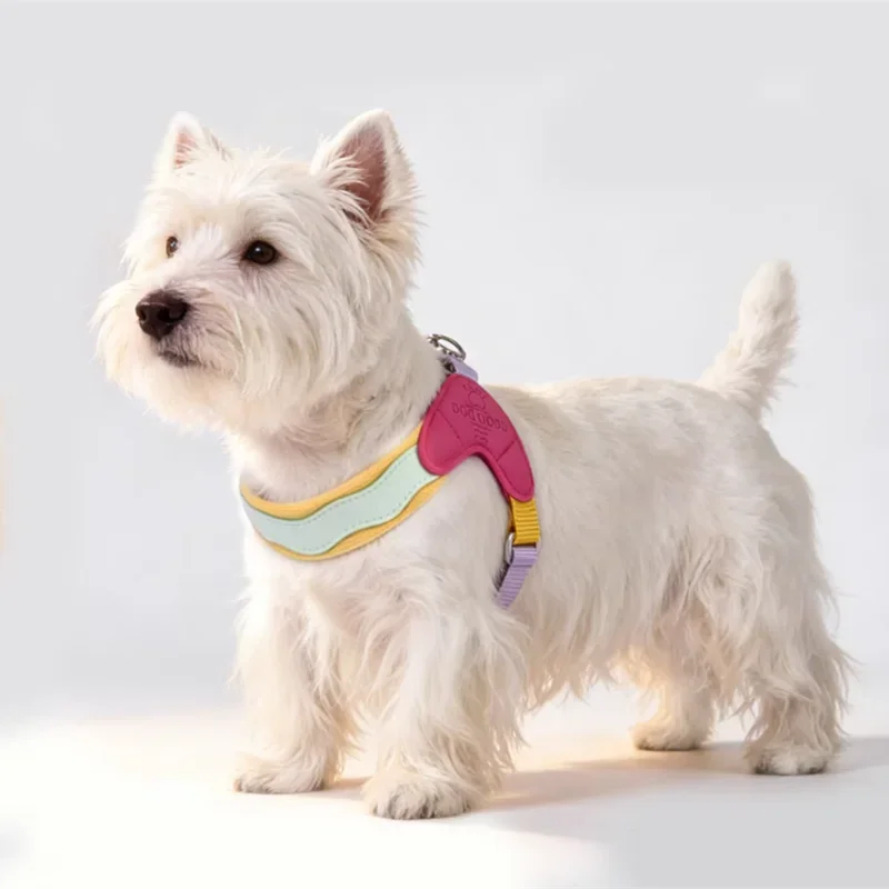 Arnés en Forma de Y Irrompible para Perros Pequeños y Medianos, Schnauzer, Dachshund, Corgi, Accesorios para Perros, Artículos para Mascotas