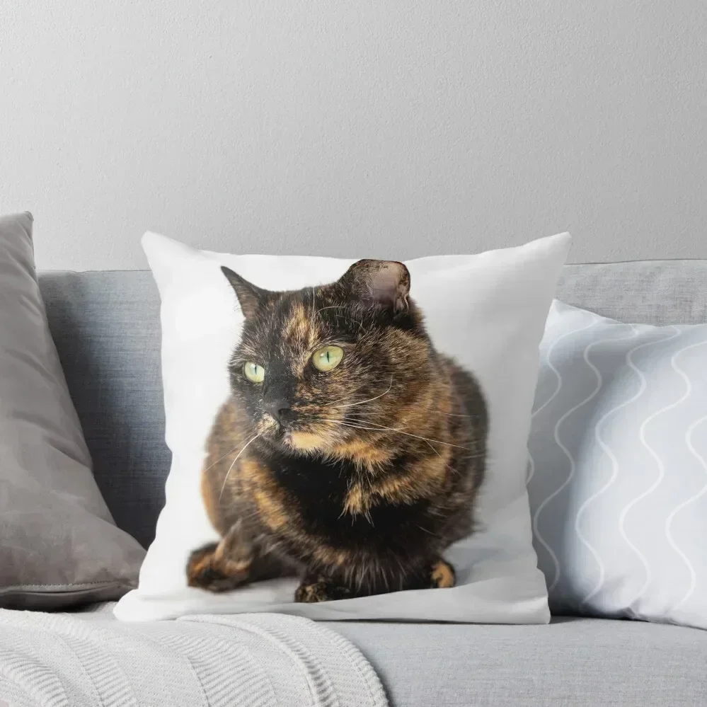 

Tortoiseshell Cat Throw Pillow pillows decor home Pillowcases Cushion Covers Sofa Sofa Cushions Covers sleeping pillows pillow
