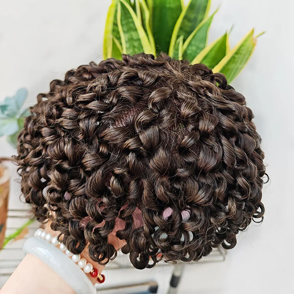 Teraman Brown Kinky Curly Wig for Men's Swiss Lace Top Human Hair Toupee with PU 8x10 Inch Middle Brown 4#Color Curly Hair Piece