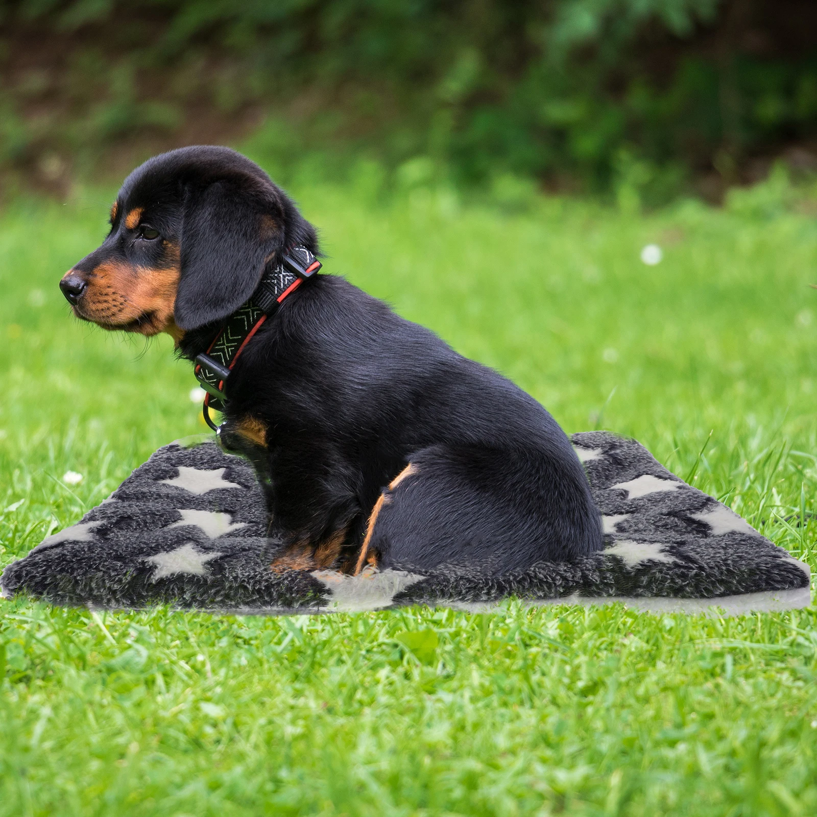 

2Pcs Pet Sleeping Mats Warm Comfortable Floor Pads Sofa Covered Cushions for Dog Cat Bed Camping Travel Pet Sleeping Mat