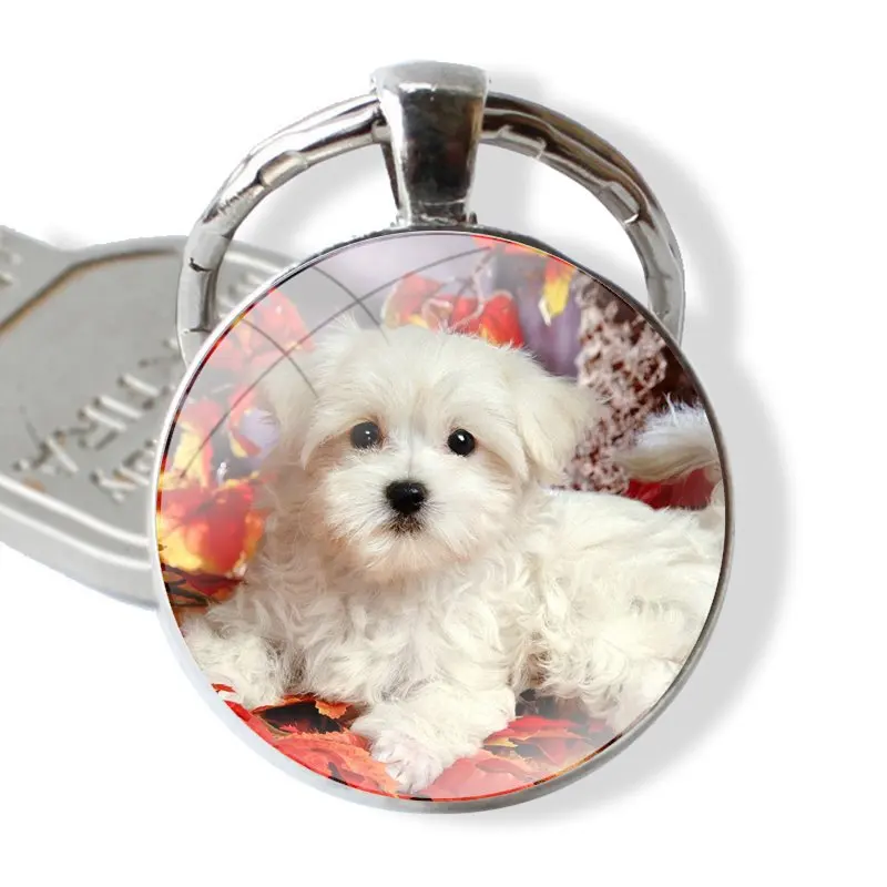 Phone Shell Covers Animal Bichon frise dog Adorable Colored Drawing glass cabochon keychain Car key chain Charms keychains Gifts