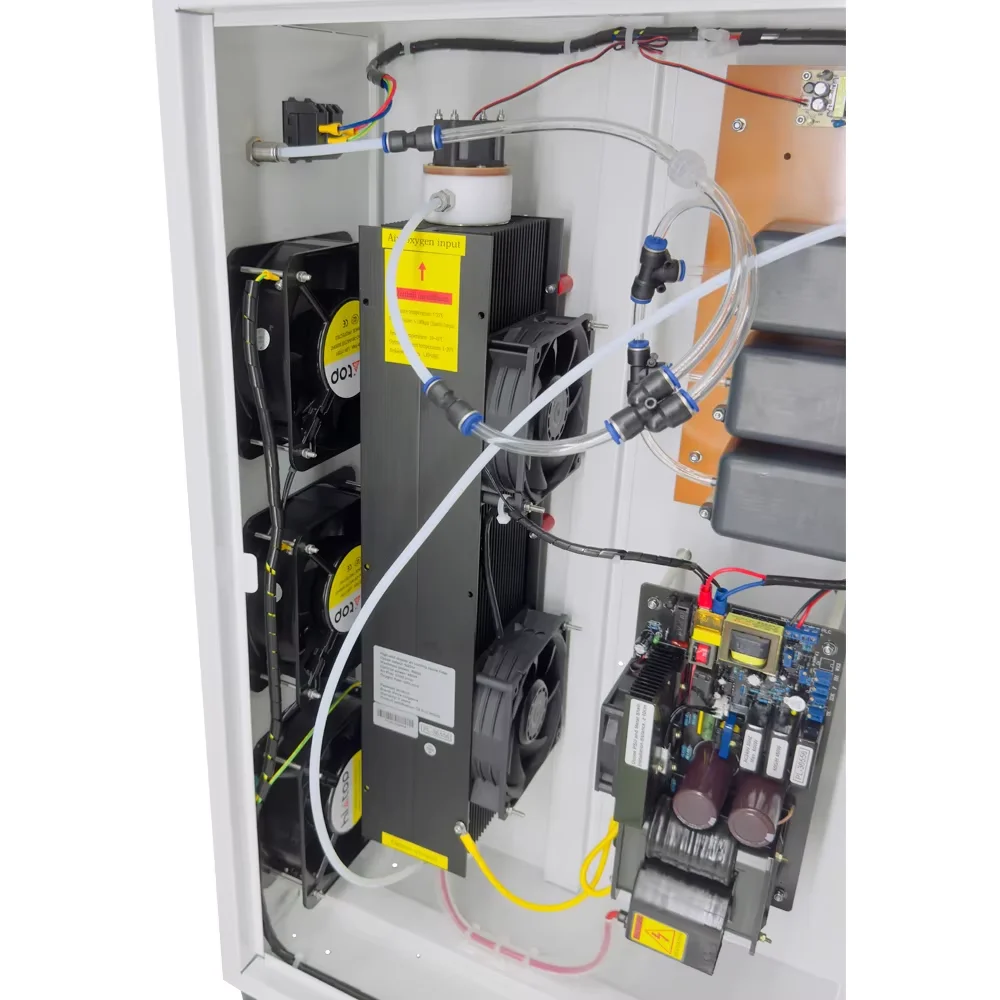 CE FCC ROHS H3 40g/h 60g/h Stainless steel shell ozone machine water disinfection purification