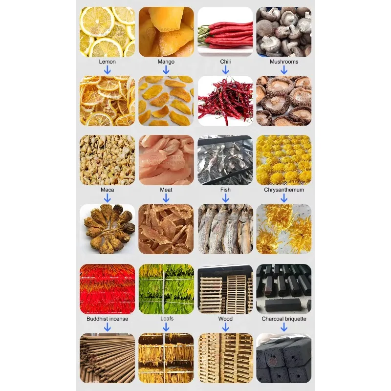 Newest Popular Electric Motor Dry Oven Large Capacity Dried Fruits Machines Uniform Heating Heat Pump Dryer for Drying
