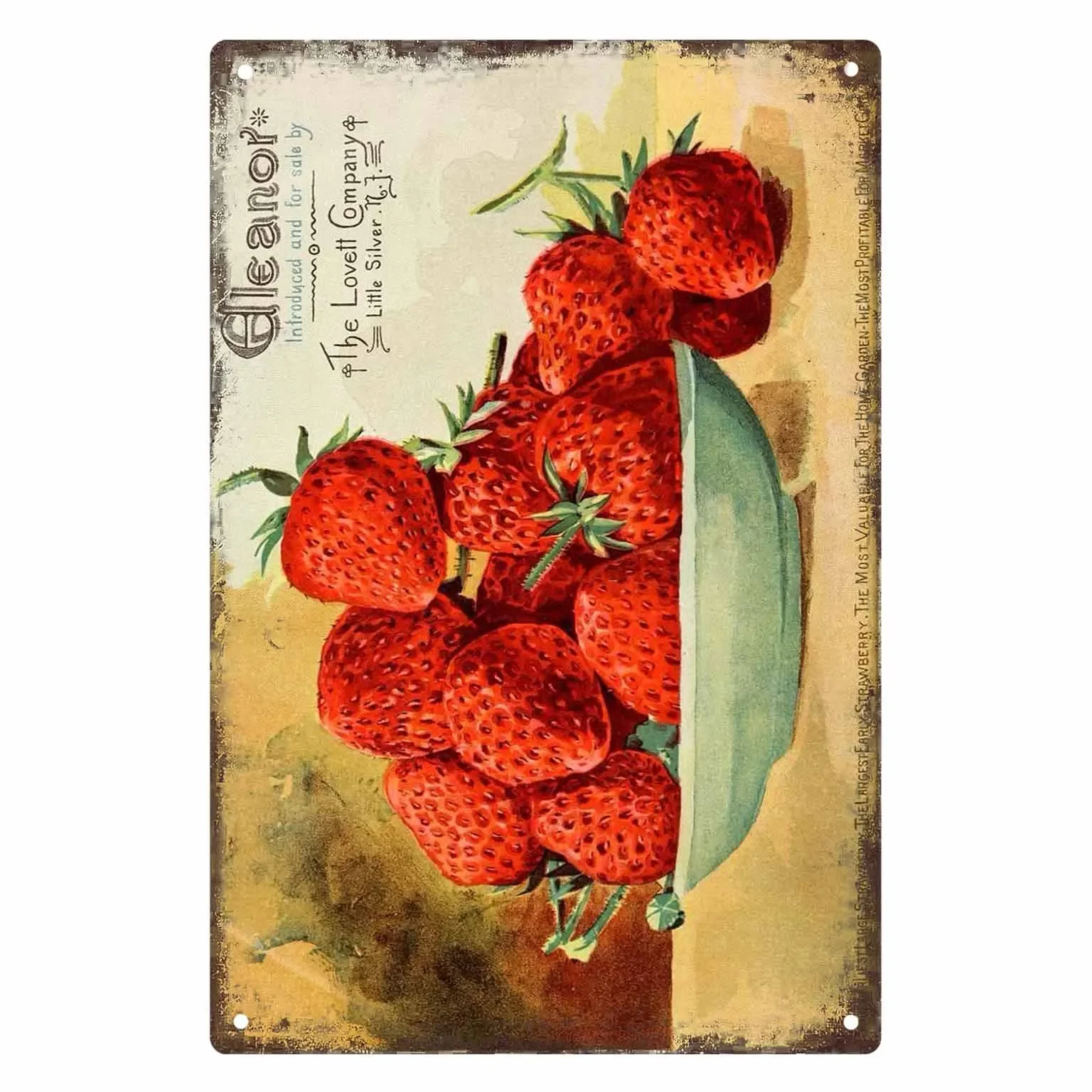 Cadres D'affiches E…