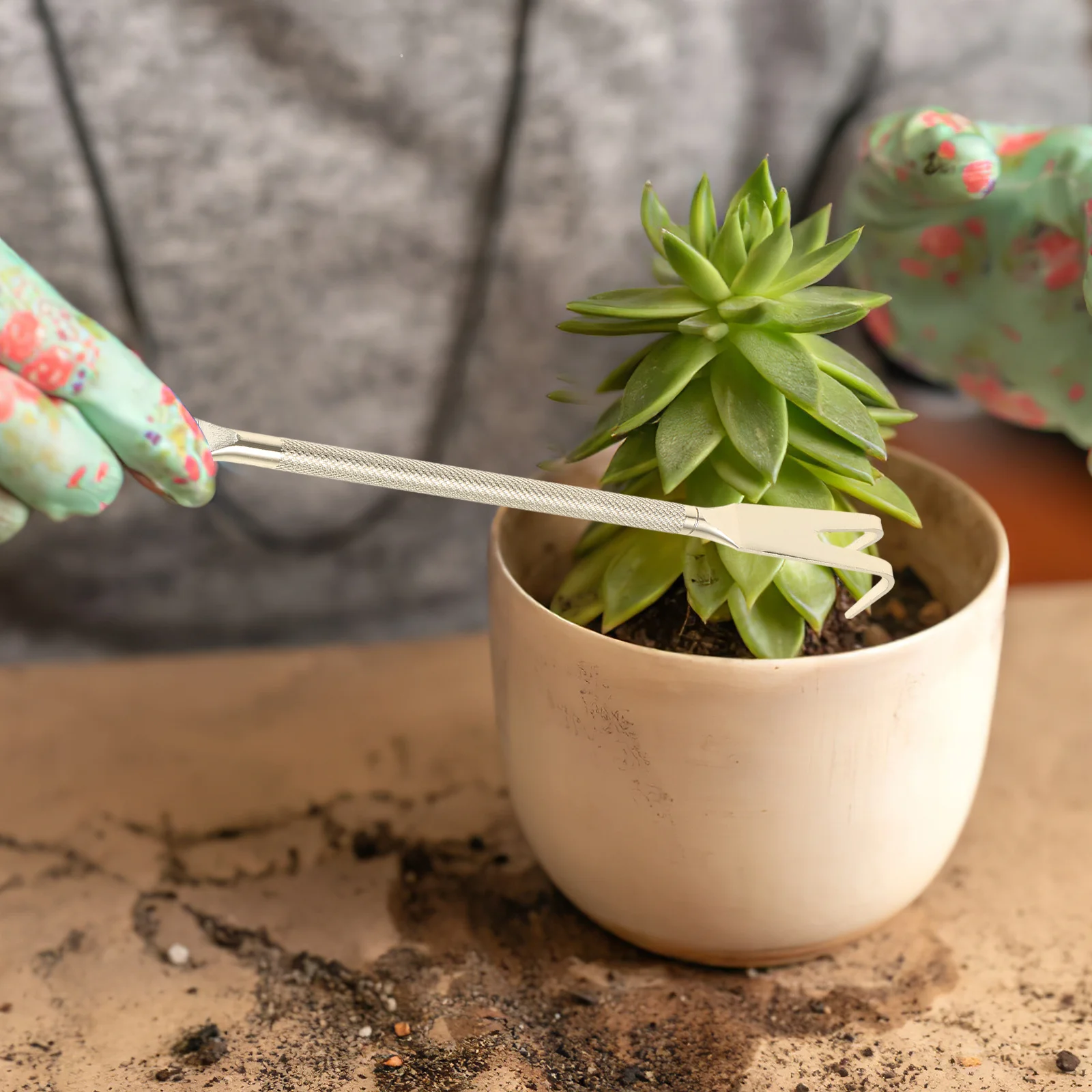 الفولاذ المقاوم للصدأ بونساي أشعل النار بوعاء أداة النبات حديقة معدنية الملقط للعصارة نباتات داخلية اكسسوارات البستنة