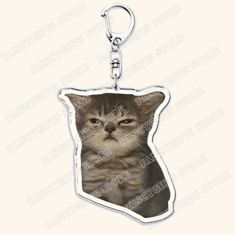 Popular Memes Keychains for Accessories Bag Cool Cat Dang Flabbit Aristocats Sulky Mad Sad Cat Keyrings Jewelry Fans Gifts