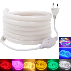 AC 220V Neon LED Strips EU 120LEDs/m 2835 Flexible Neon Rope Light IP67 Waterproof Outdoor Lamp for Garden Holiday Decor Lamp