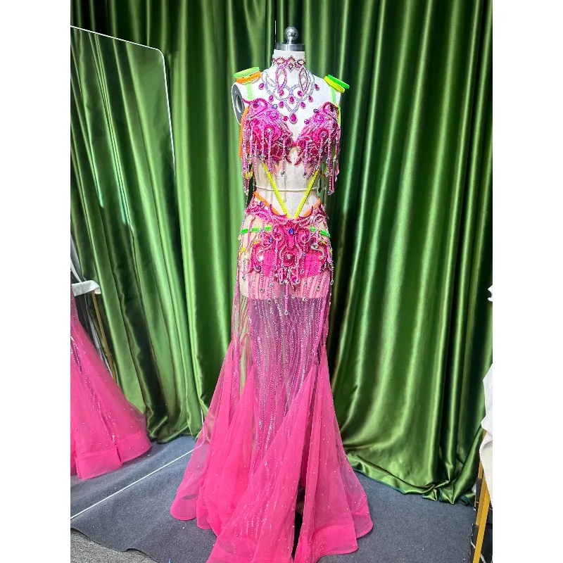 Customized Belly Dance Costumes Oriental Dance Dress Performance Costume Bra Long Skirt Set