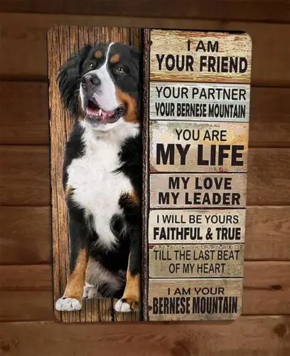 I am Your Bernese Mountain Friend 8x12 Metal Wall Animal Dog Sign