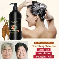 He Shouwu Silicone Free Pure Beauty Herbal Shampoo Improve Gray Hair Cure Root Black Hair Liquid