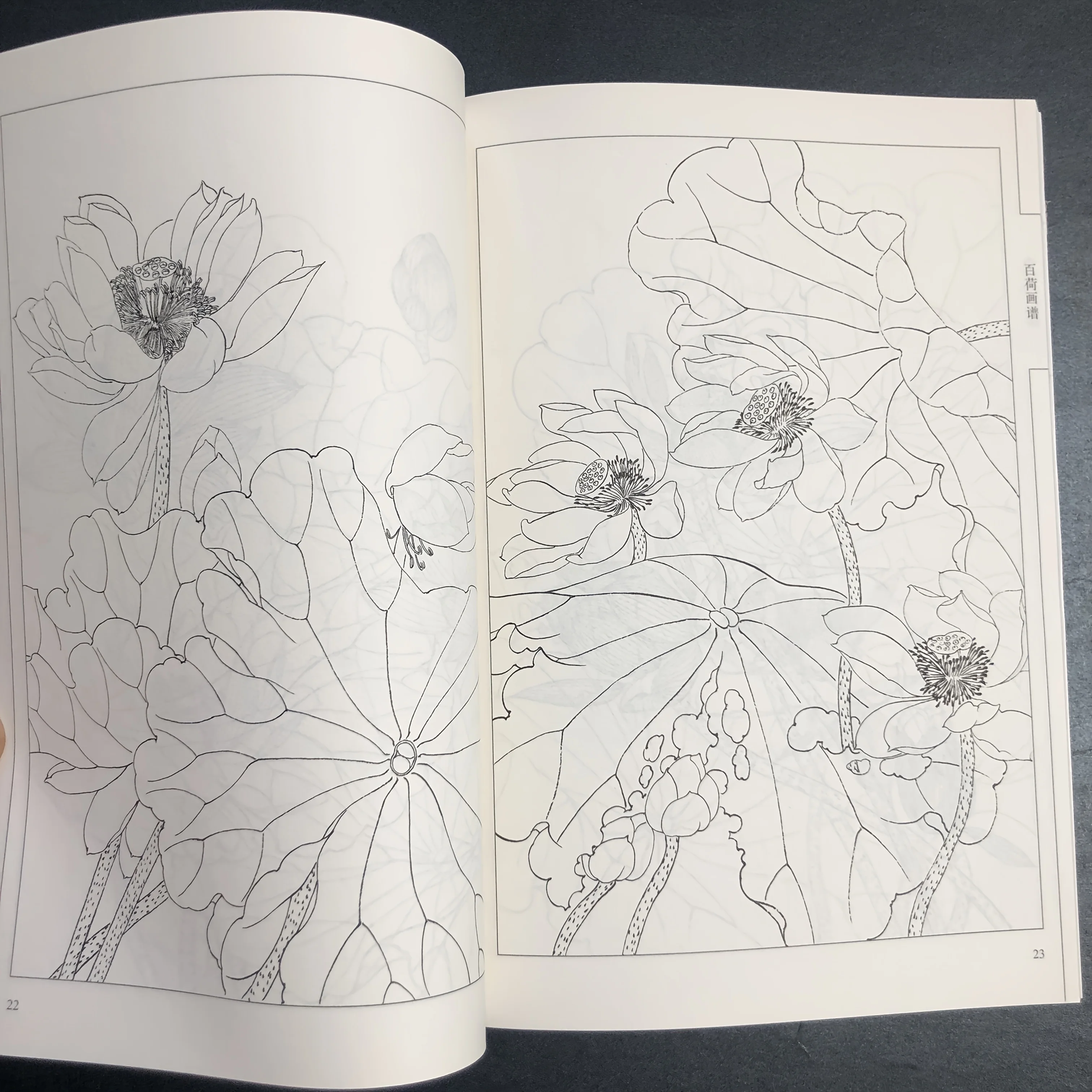 Coloring Book for Adults and Teens Featuring  with Easy and Simple Designs for Relaxation Chinese painting sketch