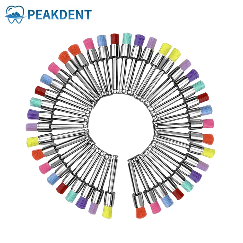 

Dental Prophy Brushes Dental polishing cup Polishing Polisher Latch type Mixed color Plat Used for Stain Removal and Polish