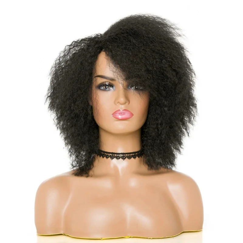 Afro Fluffy Curly Black Color Synthetic Hair Wig Women Soft Natural Daily