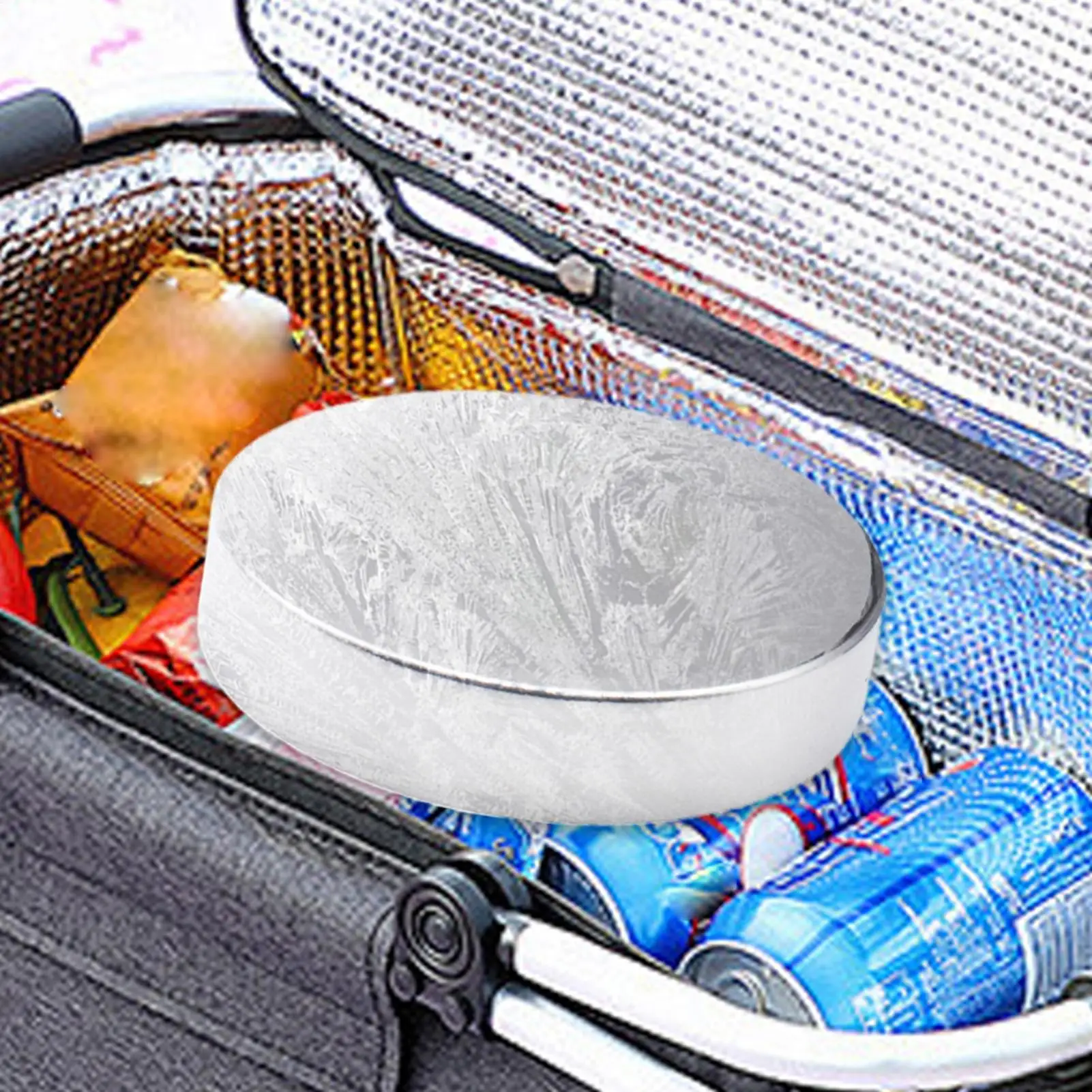 Ice Packs For Coole…