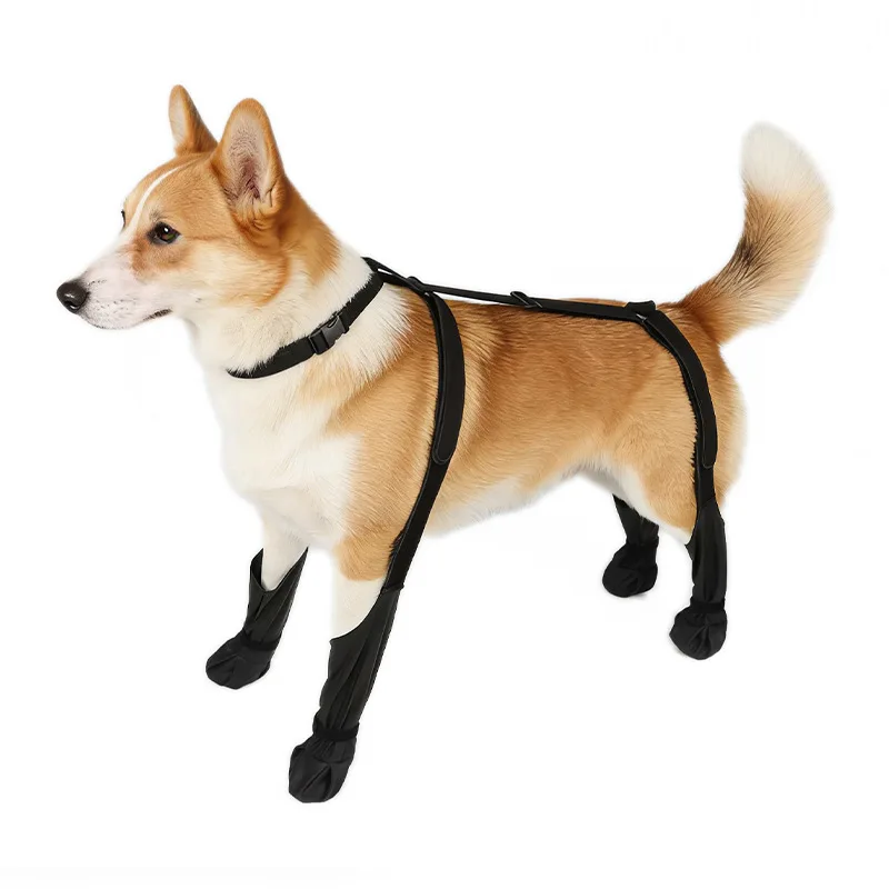 

Dog Leg Knee Patella Protection Joint Auxiliary Rehabilitation Ligament Joint Dislocation Pet Dirtproof Waterproof Rain Shoes
