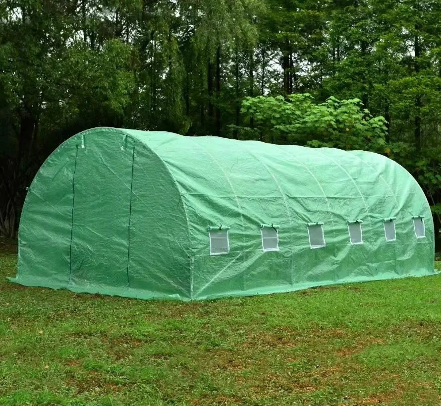 Turtle Green Cover Biogas Digester Plant and Tunnel Greenhouse