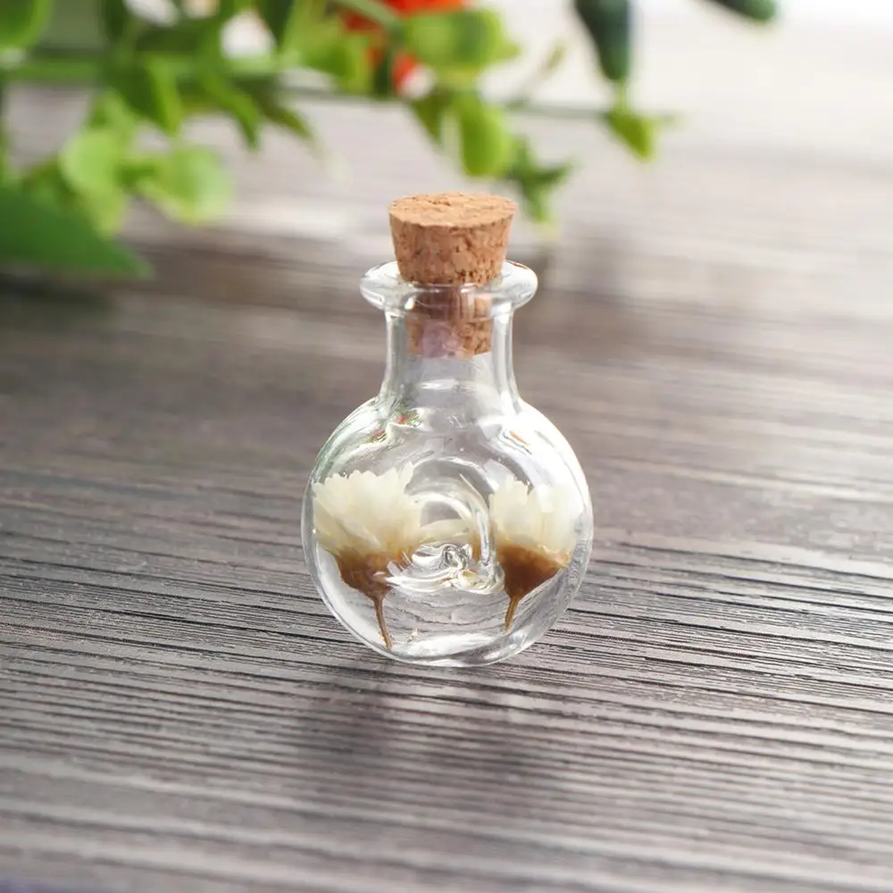 5Pcs Mini DIY Pendants Wishing Bottle Pure Handcraft Transparent Glass Bottles Empty Sample Jars Storage Vial Home Decoration