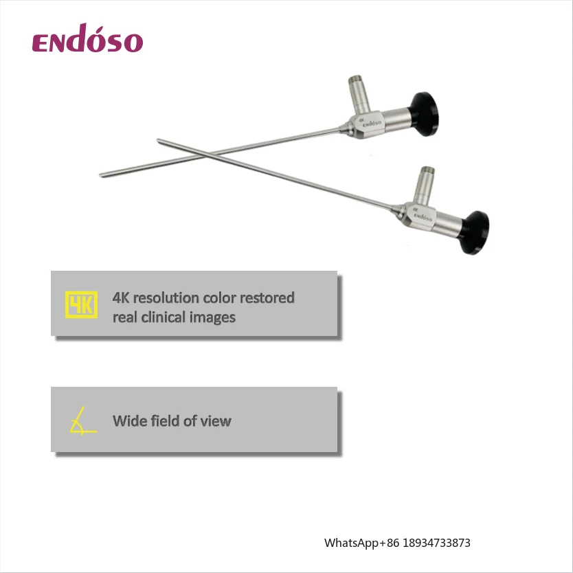 Endoso 2.4/4.0 mm Surgery Arthroscope medical arthroscope autoclavable 30/70 degree price