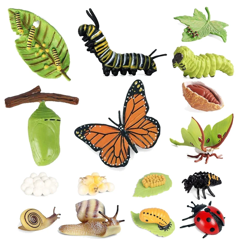 

1 компл., имитация жизненного цикла, модель животных, детская игрушка-шалость, насекомое, растение, улитка, семена моль, цикл роста, трюк, реквизит, игрушка TMZ
