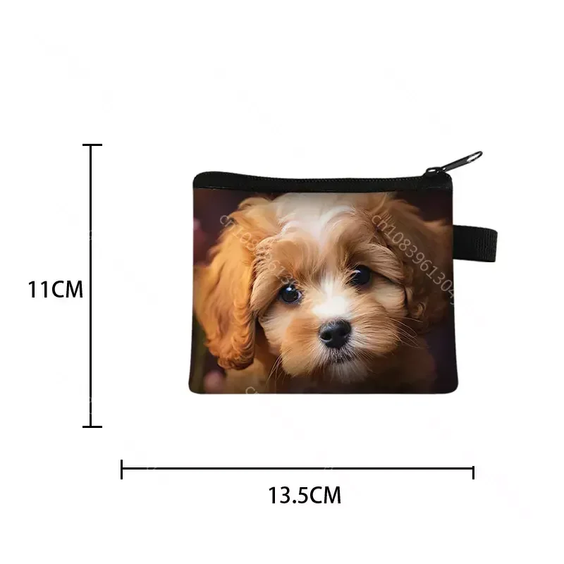 Cute Cavalier King Charles Spaniel Dog Print Coin Purse Wallet Card Earphone Holder Money Coin Bag Small Purse Zipper Pouch