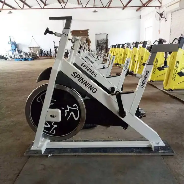 Equipo de gimnasio para interiores, bicicleta de Spinning magnética, deporte, bicicleta de ejercicio, bicicleta de ejercicio magnética