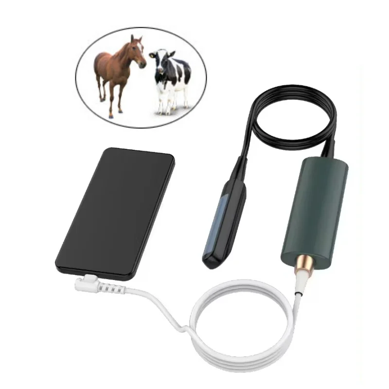 eterinary Rectal Linear Ultrasound Probe, for Cow & Horse Animal ReproductionEcografo Probe