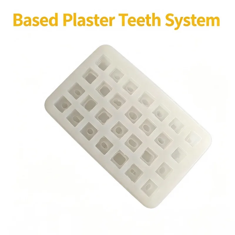 1.2X Plaster Dental Impression Full Mouth 28 Teeth Model Silicone Negative Mold For Dentist Teaching Study Oral Care Instrument