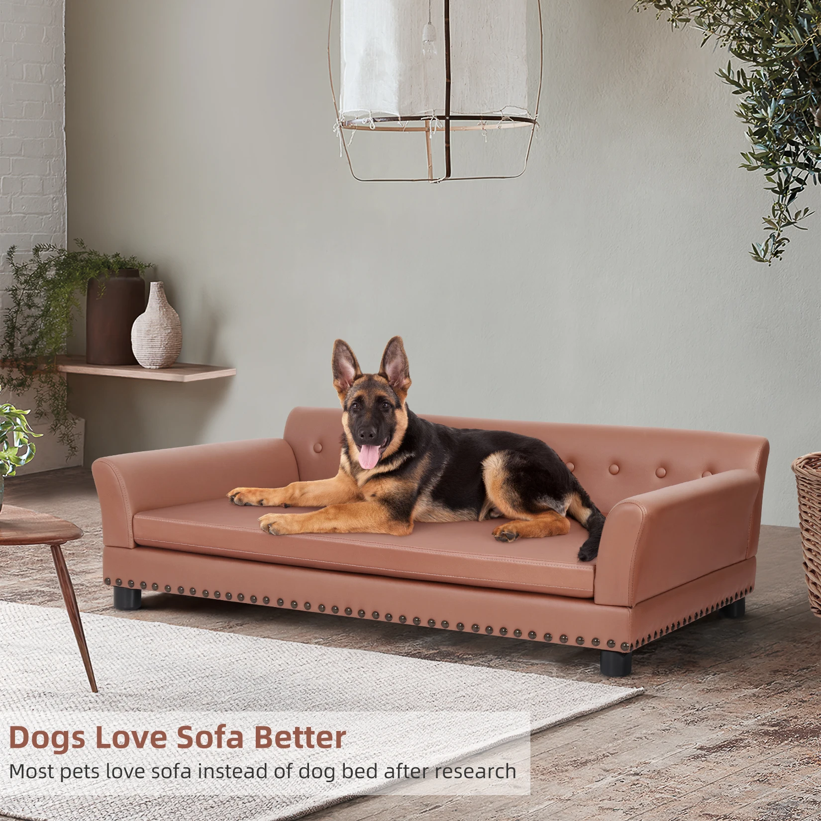 Haustier-Schlafs ofa: bingo paw wasserdichtes Sofa-Typ Hunde bett Haustier  kuscheln Lounge-Bett mit abnehmbarem Kissen - AliExpress 15