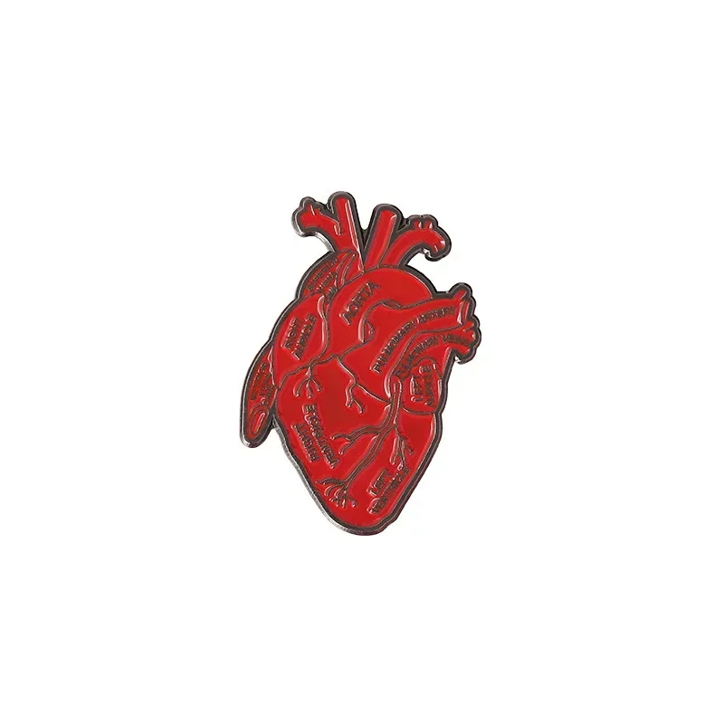 Creative Red Anatomical Heart Alloy Brooch for Clothes Doctor Nurse Clothing Bag Decorative Pin Badges Metal Pins for Backpacks