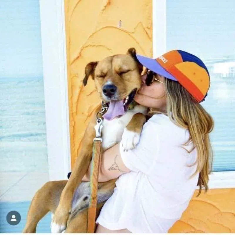 

Модная бейсболка в стиле хип-хоп с плоским козырьком, унисекс, в корейском стиле, с цветными вставками, универсальная для повседневной носки.