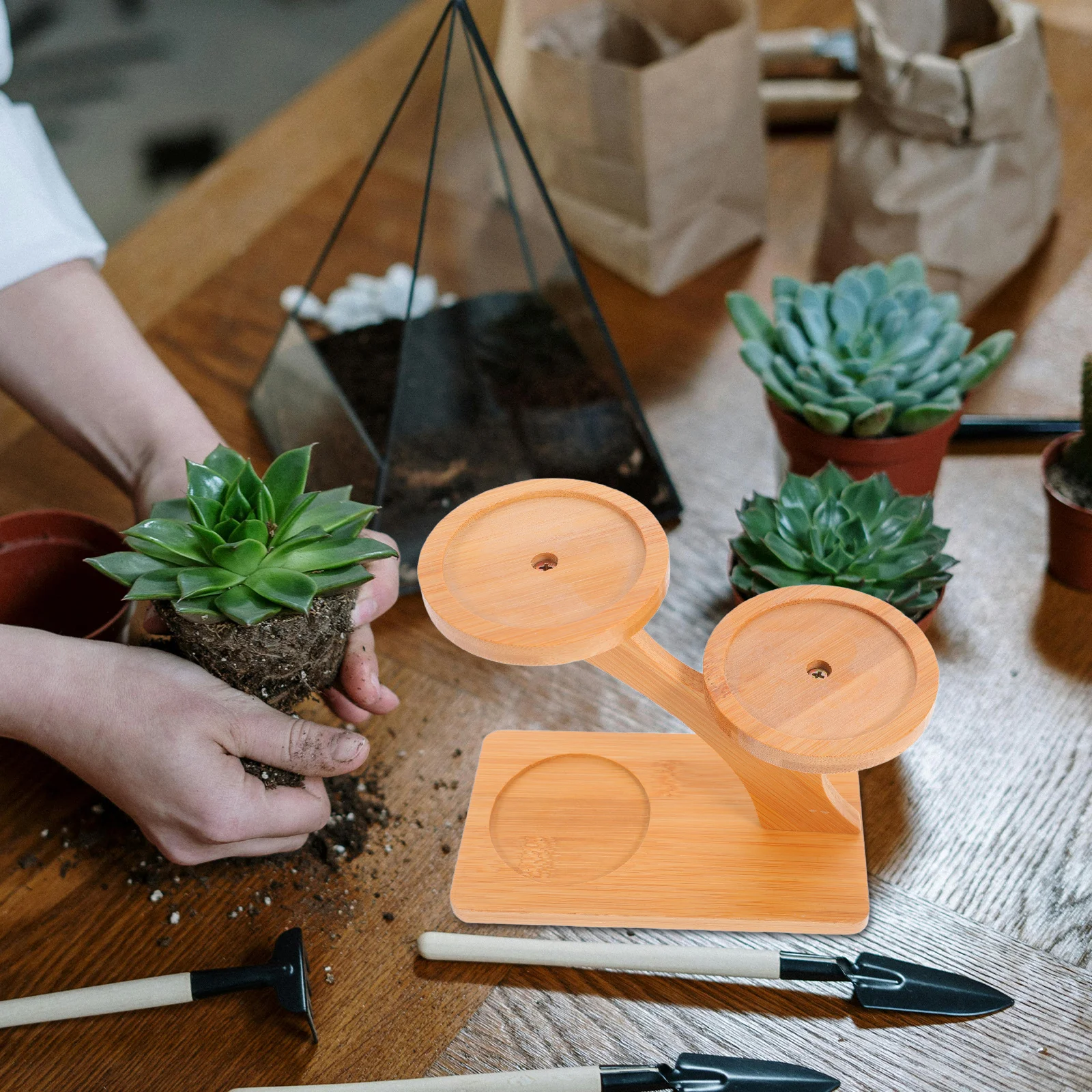 

Multi-Layer Desktop Succulent Flower Stand Rustic Bamboo Plant Pot Holder Windowsill Plant Tray Planter Stand for Small Potted