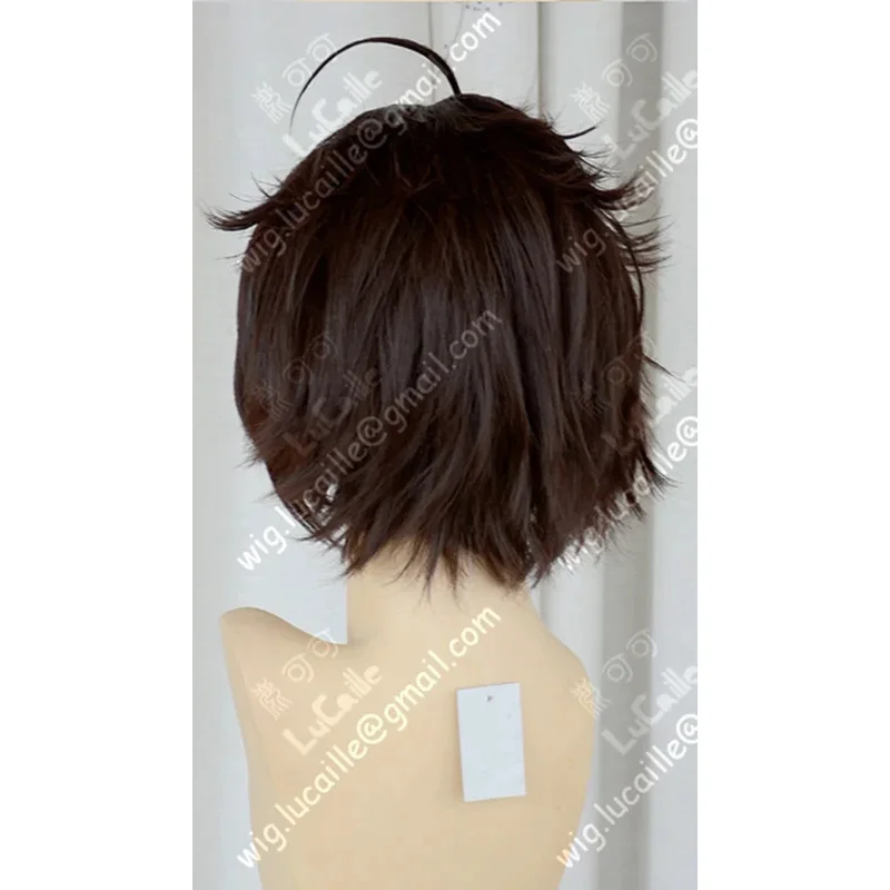 LQAxis Powers Hetalia Austria Roderich Edelstein Short Coffee Brown Styled Heat Resistant Hair Cosplay Costume Wig + Free Wig Ca
