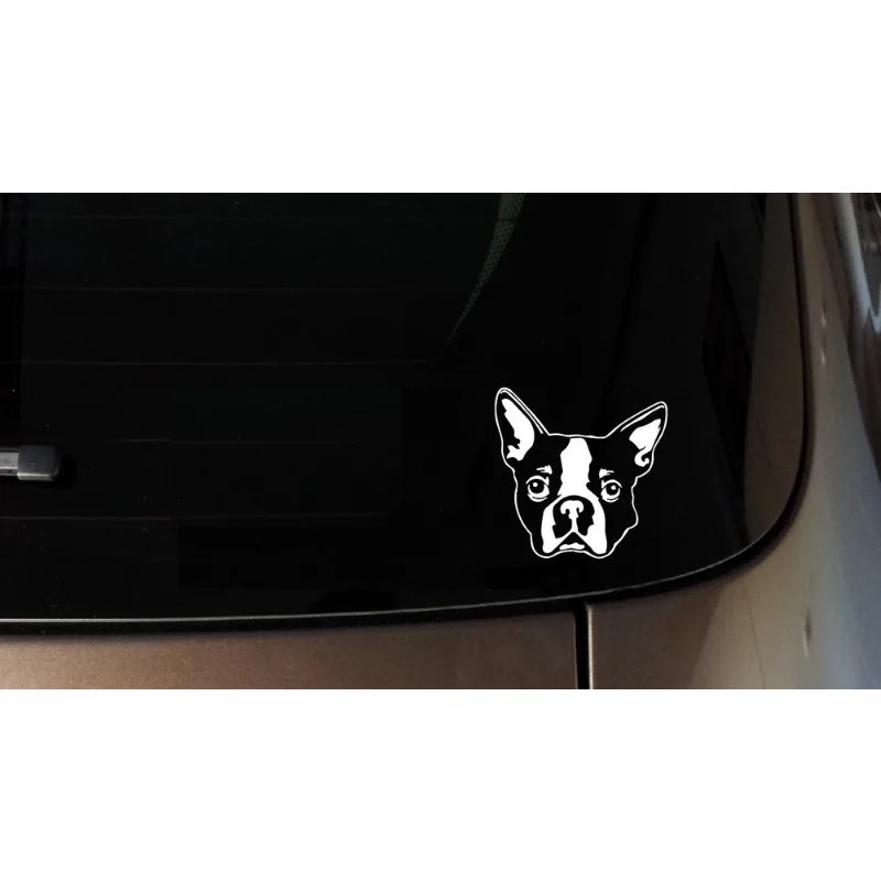 ملصقات تزيين السيارة لـ Boston Terrier iPad ملصق شارات نافذة السيارة من الفينيل ملصق Love My White Rescue Dog Mom 20CM PVCKK