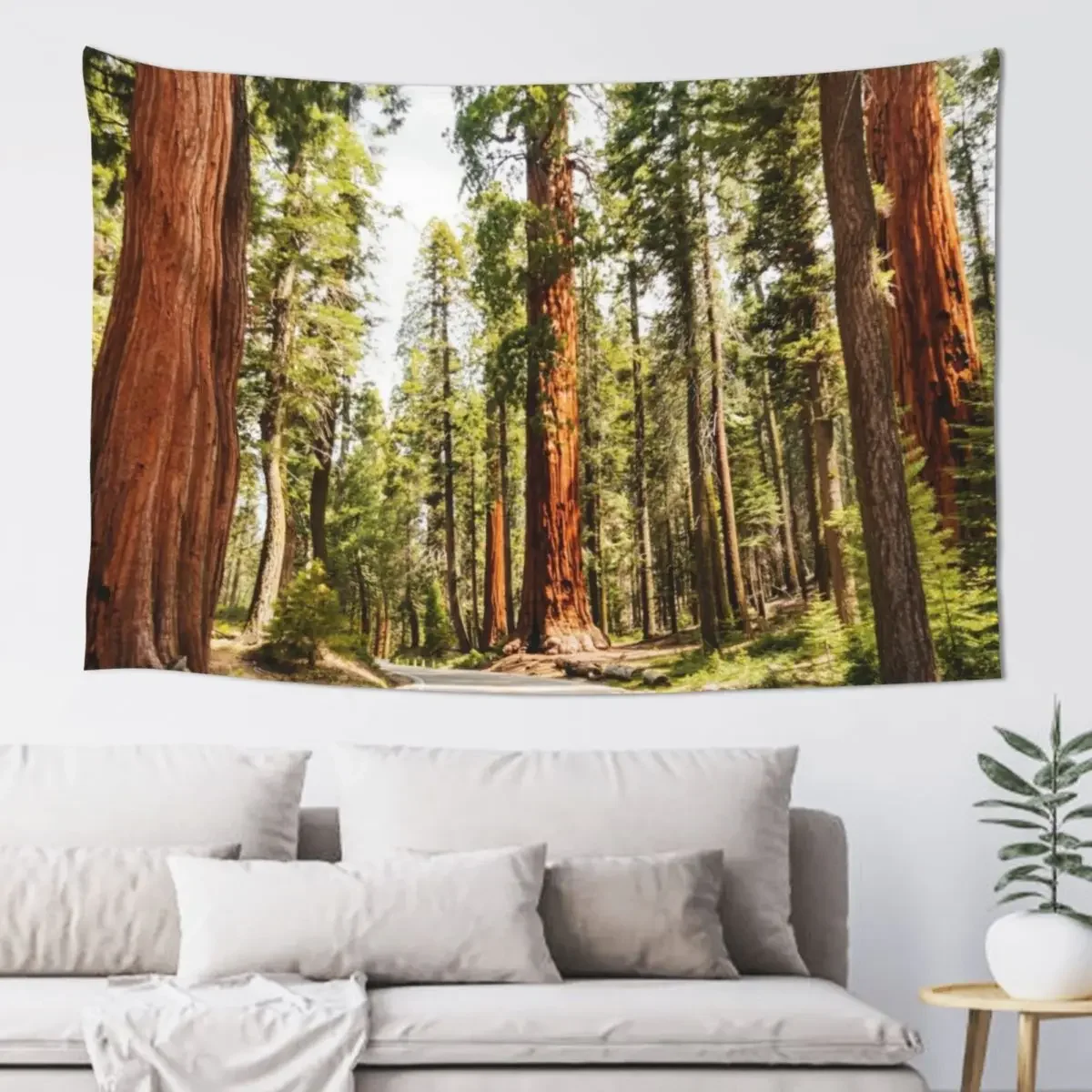 sequoia national park Tapestry On The Wall Cute Room Decor Tapestry