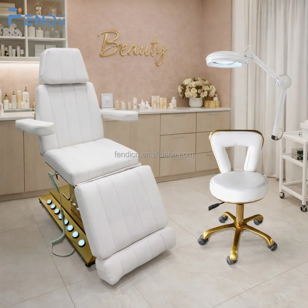 

Professional Luxury Electric Reclining Facial Bed Beauty Bed with Adjustable Backrest