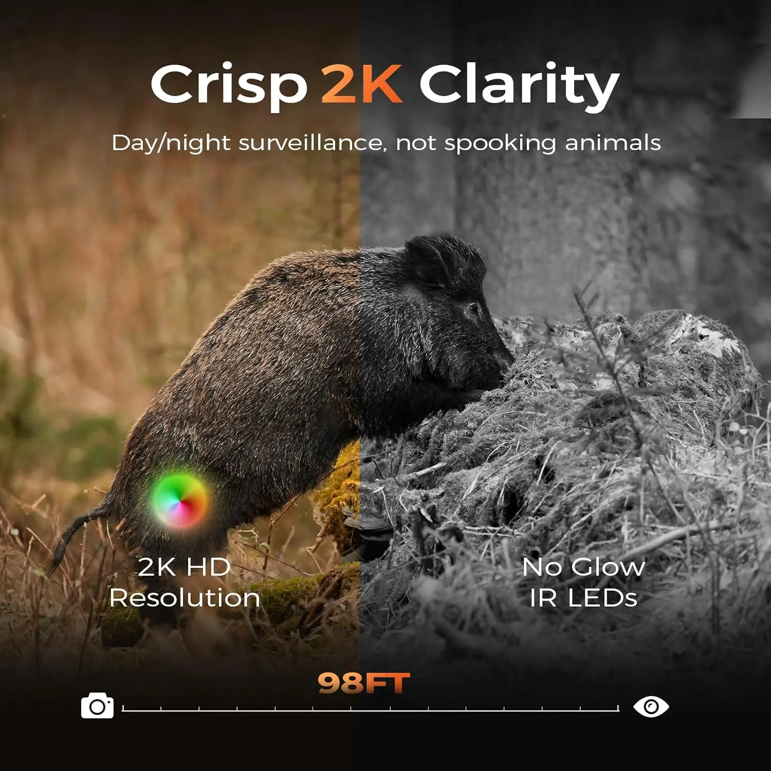 4G LTE Cellular Trail Camera 2-Pack, 360° Panoramic Live View, Built-in SIM Card, PIR Motion Activated, 2K Night Vision, Solar Powered, IP65 Weatherproof, No WiFi Needed, Camouflage Security Camera - view 5