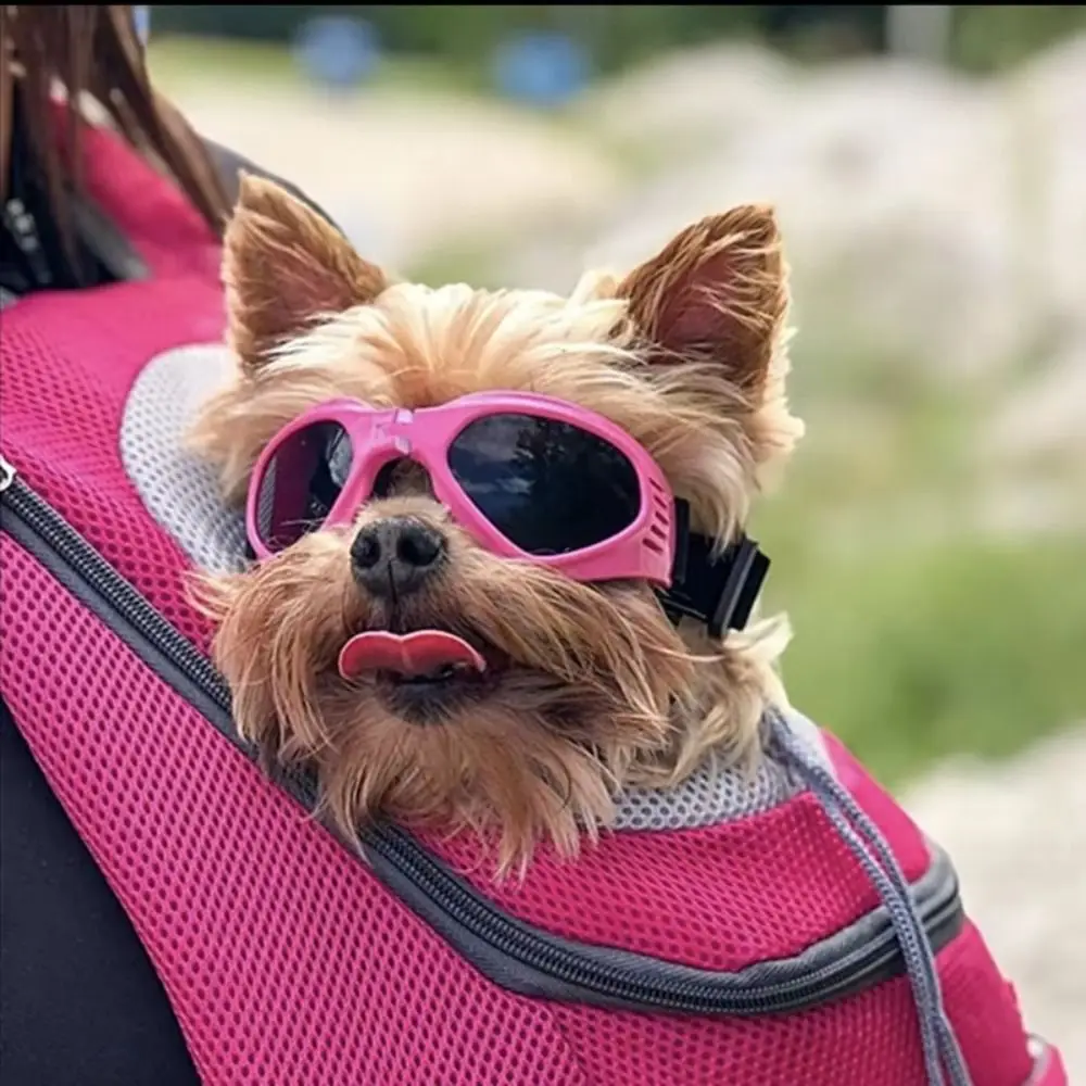 Fashion Foldable Pet Sunglasses Adjustable Clear Vision Dogs Goggles Eye Protective Waterproof Cat Glasses Photography Prop