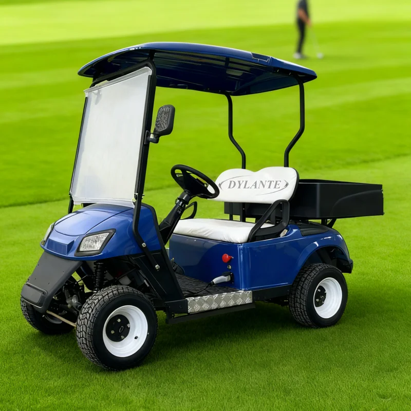 2025 نموذج جديد نمط 2 مقعد حافلة لمشاهدة معالم المدينة نادي عربة الغولف الكهربائية عربات التي تجرها الدواب عربة الصيد للبالغين مع صندوق البضائع #3