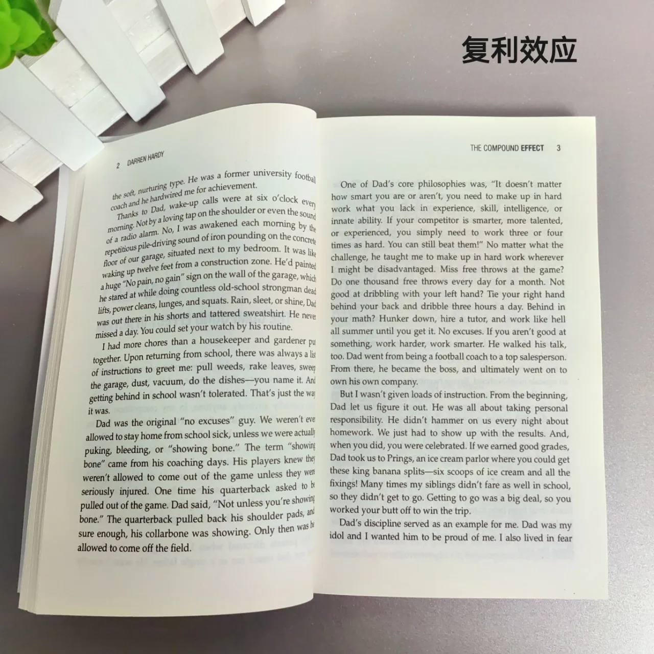 ダレン・ハーディー著『コンパウンド・エフェクト』: 一歩一歩で成功を増やす、心に響く小説、英語の書籍