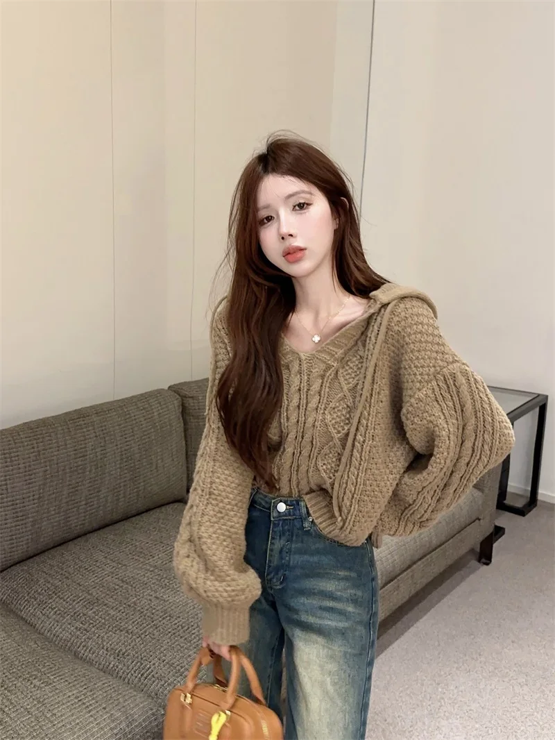 Soft Cozy V-Ne Long Sve Women's Knitwear Spring Autumn Loose Fit Hooded Sweater Comfortable Breathable Warm Thermal Top