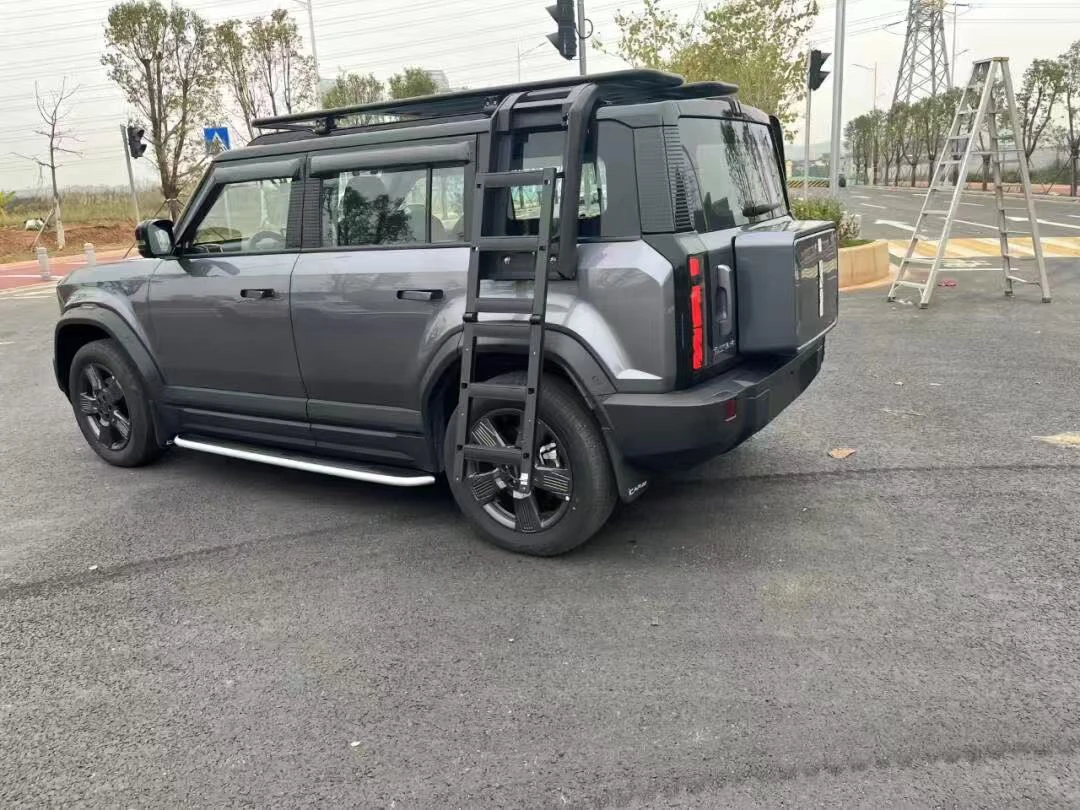 Roof Luggage Rack with Platfor - đánh giá và giá Car Accessories Roof Rack