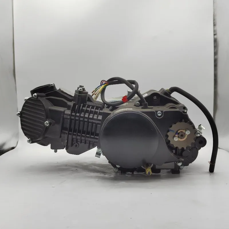Good Quality Zongshen 150cc Motorcycle Tribike Engine Part Kit Customized Zongshen W150 Fuel Starter for Ducati