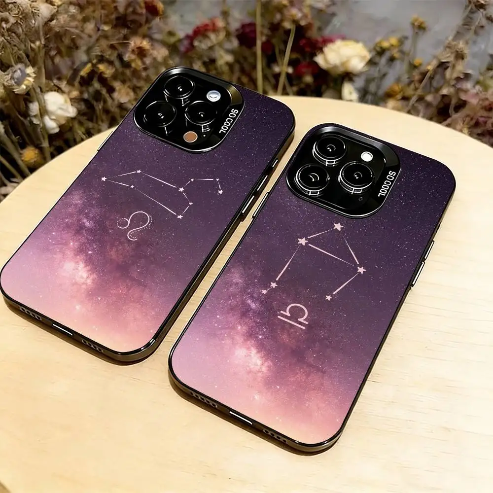 

twelve Constellation Phone Case For iPhone 17,16,15,14,13,12,11 Plus,Pro Max,XS,Colorful Silver Black Cover